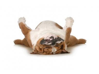 Ne radimo na Praznik rada!