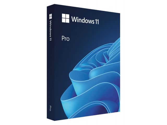 windows 11 pro