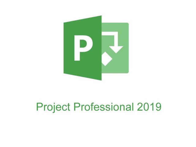 Programski paket MICROSOFT Project Pro 2019, All Languages, prenosiva licenca za 1 računalo ili server, download