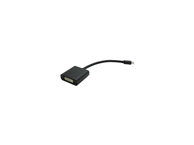Video adapter ROLINE VALUE DisplayPort Mini DP(m) na DVI(ž) 24+1 v1.2, 0.15m, crni