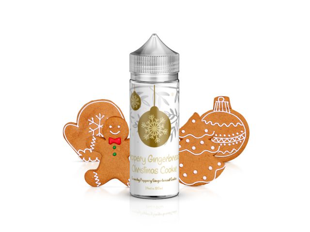 Shake&Vape JOURNEY Peppery Gingerbread Christmas Cookie 24/120 ml
