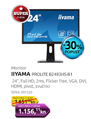 IIYAMA PROLITE B2483HS-B1
